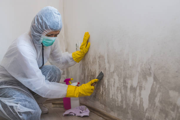Best Residential Mold Removal  in Goodrich, MI