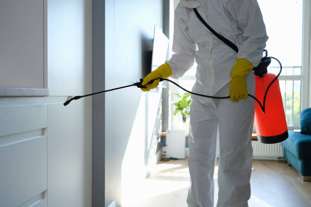 Best Professional Mold Removal  in Goodrich, MI