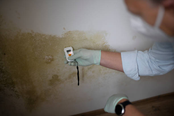 Best Mold Cleaning Services  in Goodrich, MI
