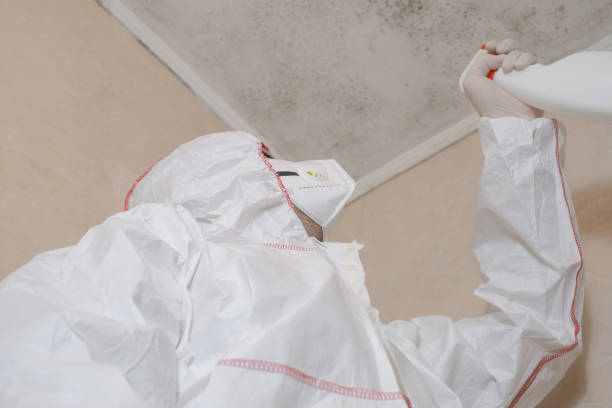 Best Attic Mold Removal  in Goodrich, MI