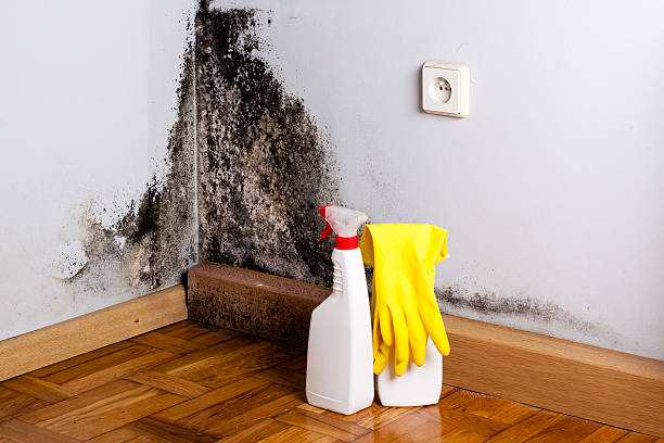 Best Crawl Space Mold Removal  in Goodrich, MI
